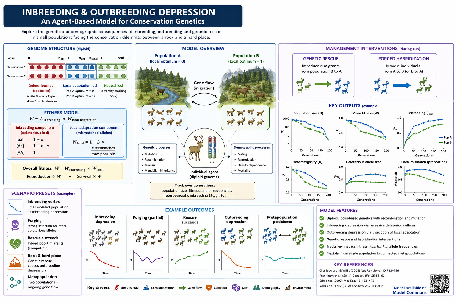 inbreeding and outbreeding depression model preview image